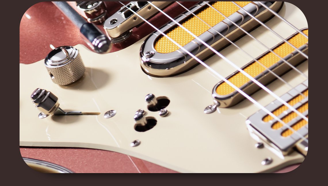 DAC-LD_Gallery_02 Product photo of the Duesenberg Alliance Series Bros. Landreth Guitar Controls