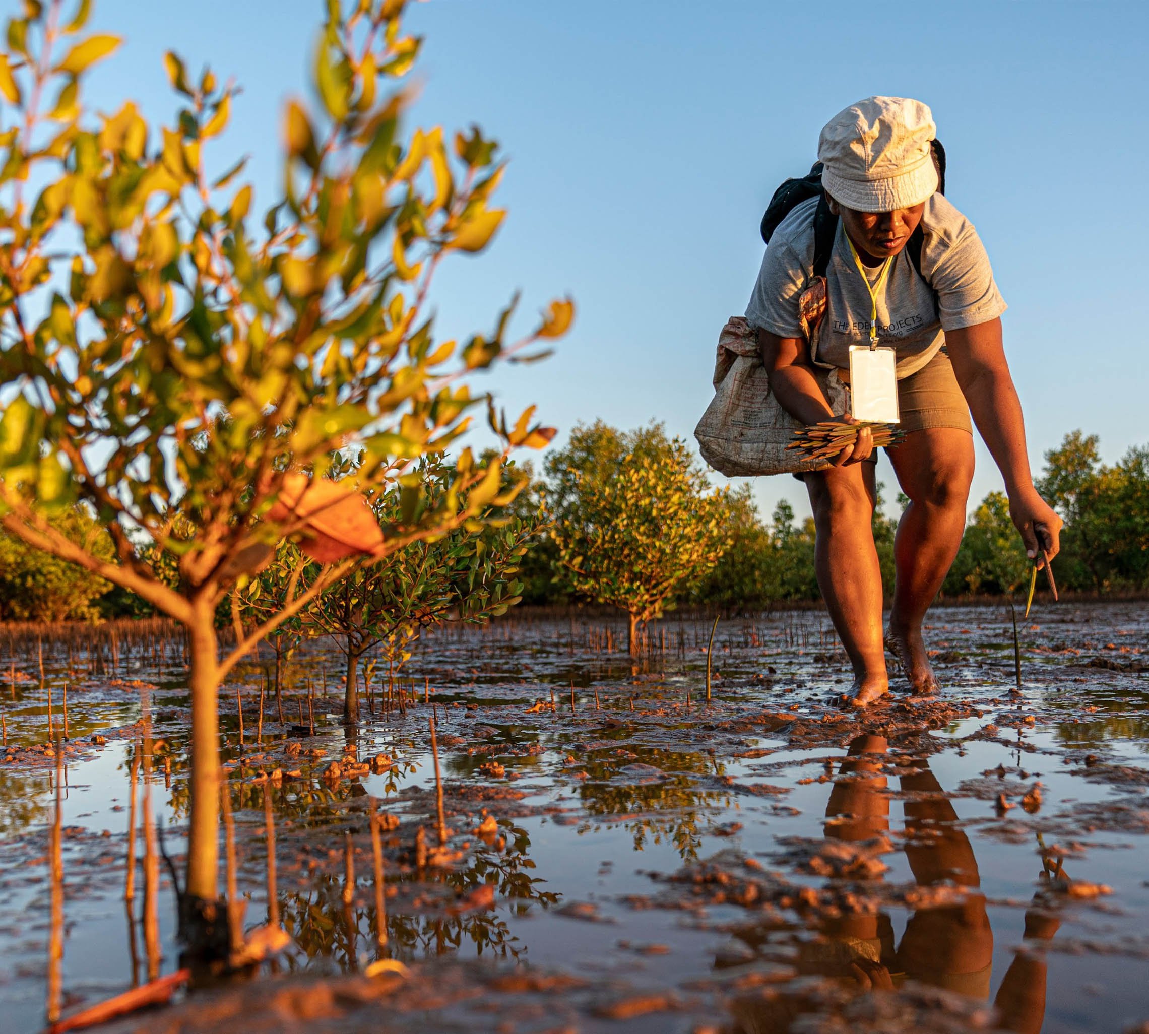 Duesenberg Guitars supports The Eden Projects